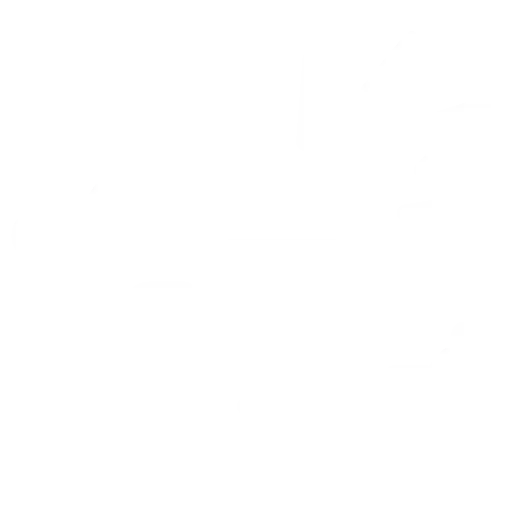 Back and spine injury icon representing catastrophic personal injury, chronic pain, and legal compensation for debilitating accidents.